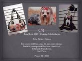 Bolsa Britney Spears